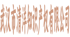 武汉市清洋知识产权有限公司